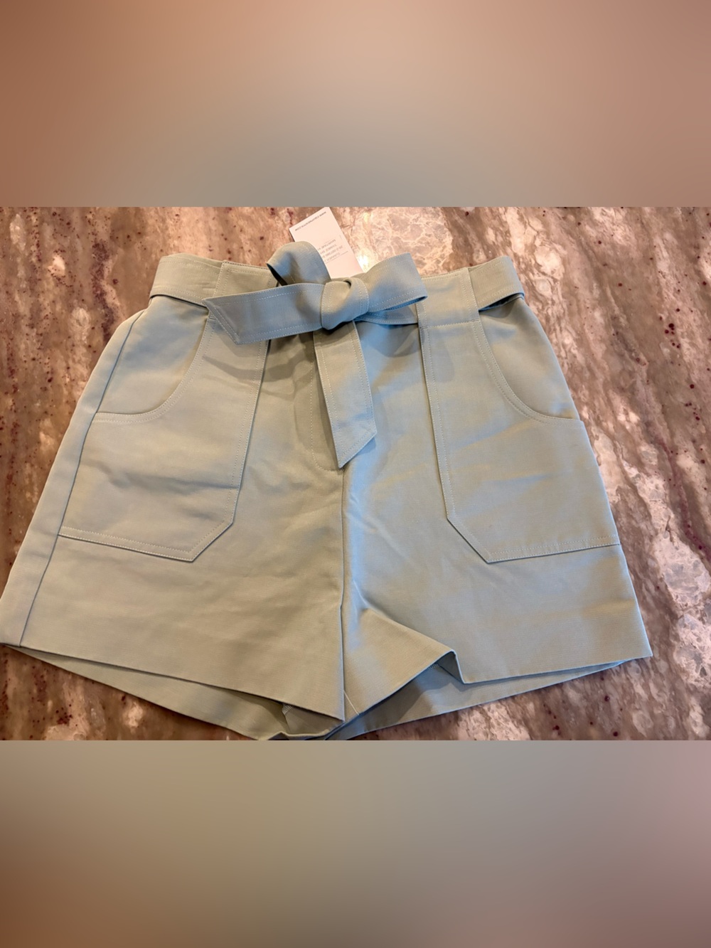 Equipment “Taimee” Belt Shorts